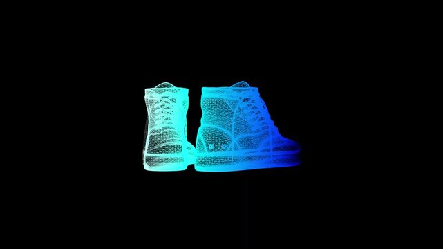 rotating wireframe shoe video