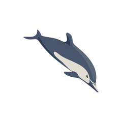Fototapeta premium vector drawing common dolphin isolated at white background, hand drawn illustration