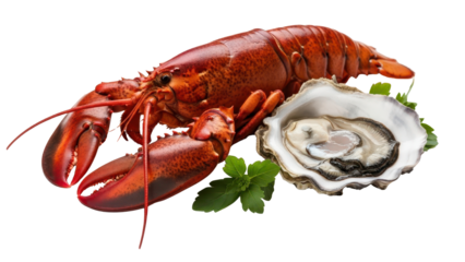 Cooked Red Lobster and Fresh Oyster with Green Garnish isolated PNG with Transparent Background