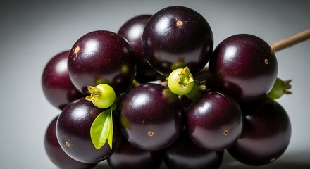 Close up of a dark purple grape cluster with green stems