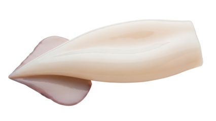 Raw cleaned squid tube seafood isolated PNG with Transparent Background