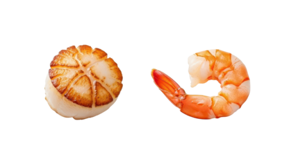 Perfectly Seared Sea Scallop and Single Cooked Shrimp Product Shot isolated PNG with Transparent Background