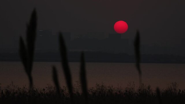 Qiantang River and bridge at sunset with red sun reeds scenic landscape captured by Canon R6 80mm lens for nature and travel projects