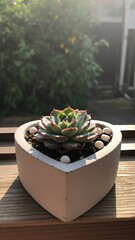 Vibrant succulent in a chic heart-shaped concrete pot, accented with decorative stones and bathed in natural light, a perfect green touch for modern home decor