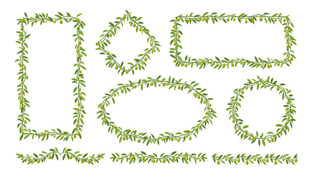 Olive branch frame border with plant leaves. Olive tree twig and leaves vector round, oval and rectangular frames, agriculture fruit corner. Mediterranean cuisine or vegetarian food berry border