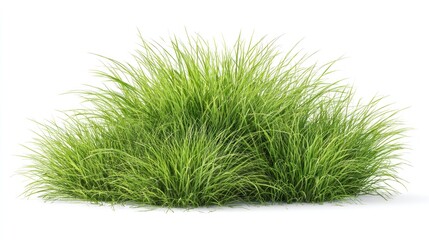 Lush, clumped, green grass blades arranged in a mound on a white background with a cast shadow
