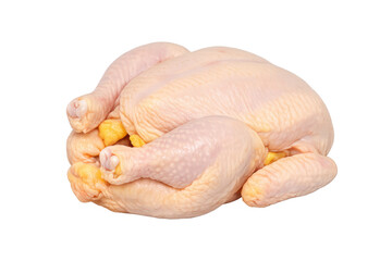 Whole raw chicken carcass, food ingredient, fresh poultry on a transparent background, offering protein for preparing a meal