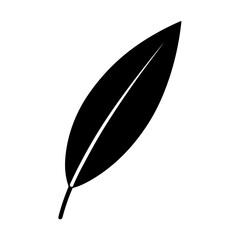 illustration outline plant philodendron lynette vector © Desi