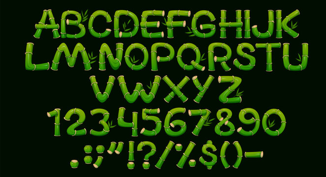 Bamboo font, jungle forest typeface, plant type, eco english alphabet vector typography. Cartoon asian tropical nature font letters and numbers set of bamboo sticks, wood stems and green leaves