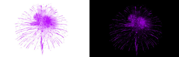 Obraz premium Beautiful purple fireworks explode symmetrically against a transparent background and a dark night sky, illuminating a festive scene