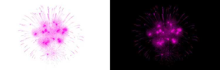 Fototapeta premium Fuchsia burst firework celebration display with bright light effect on transparent background glowing pyrotechnic festival