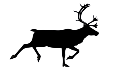 Black Reindeer Silhouette with Antlers Walking isolated PNG with Transparent Background