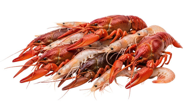 Pile of Fresh Cooked Red and White Crawfish Seafood isolated PNG with Transparent Background