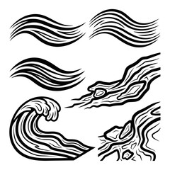 A professional photographer uses a modern DSLR camera to capture a sharp close-up of a vibrant green leaf in a bright outdoor setting