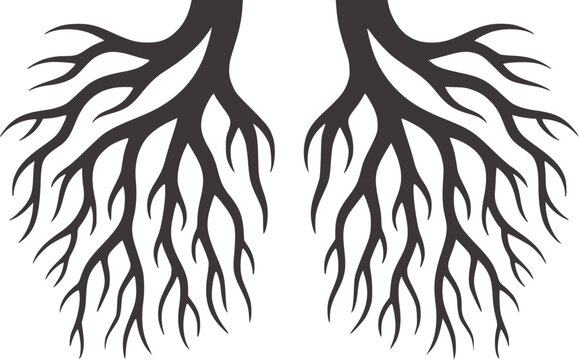 Dark gray tree roots branching symmetrically