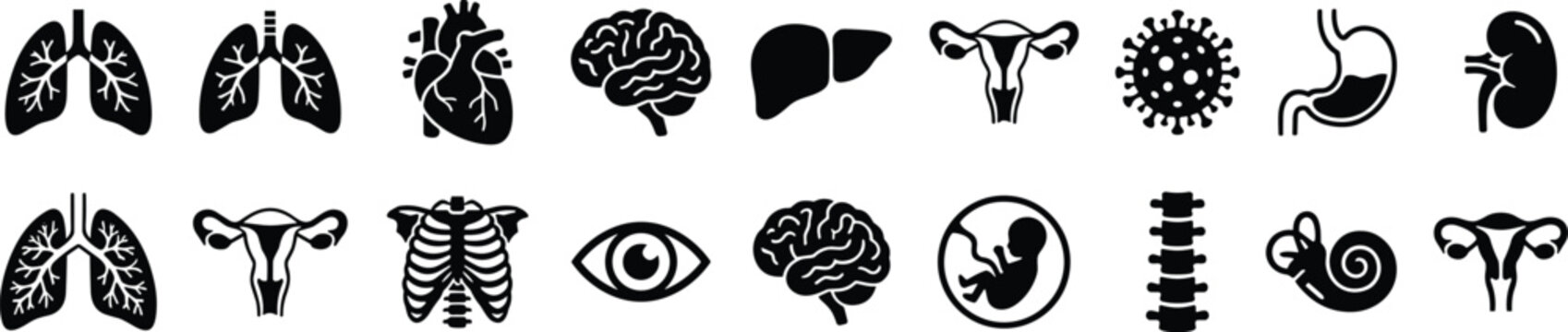 Human organ icon set, black and white anatomy symbols, medical vector elements, stylized internal body parts, flat vector illustration