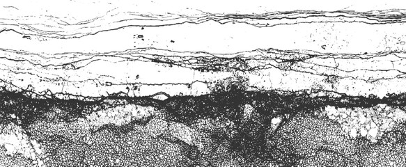 Obraz premium Microscopic view of layered geological showcasing intricate cellular structures and fractured surfaces in a high-contrast black and white palette