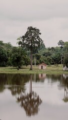 Small building and tall trees reflecting on a calm lake surface under an overcast sky in a tropical landscape.