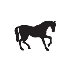 Obraz premium Freedom Step.