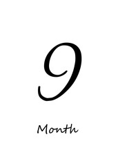 Fototapeta premium Minimal Monthly Milestone Card with Handwritten Number Typography