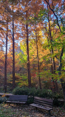 아름다운 가을 공원 풍경