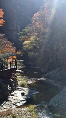 한국에 있는 절곡계곡의 아름다운 가을 풍경