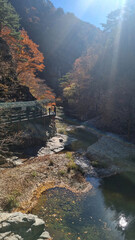 한국 청송에 있는 절곡계곡의 가을 풍경	