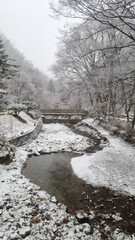 눈 덮인 겨을 계곡 풍경