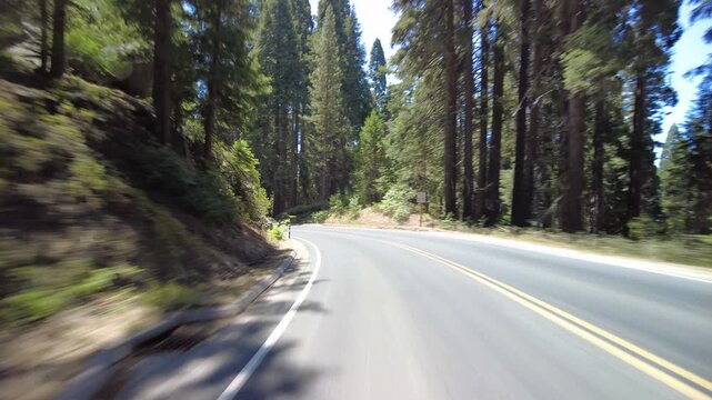 Kings Canyon Scenic Byway West Section 22 Eastbound MultiCam Rear View Big Stump Grove Driving Plate California USA