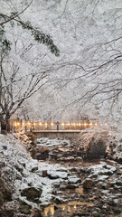 눈 덮인 겨울 숲 속 풍경