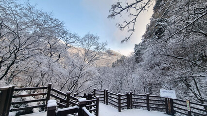 눈 쌓인 아름다운 겨울 등산 길