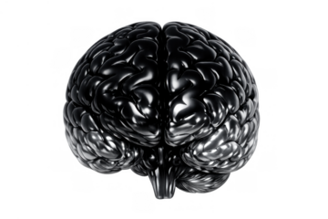 Artificial intelligence brain representing advanced computing, robotics, and cybernetic thinking, transparent background
