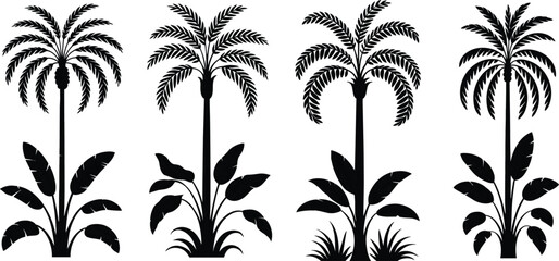 Tropical palm tree silhouette collection, black jungle plants illustration, botanical nature vector set, minimal landscape design elements © VectoBloom