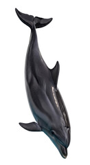 Fototapeta premium Sleek dark grey bottlenose dolphin with wet reflective skin, dorsal fin, powerful leap on transparent studio, perfectly lit, concept of dynamic purity