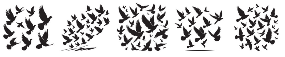 Obraz premium A collection of five distinct black silhouette designs depicting flocks of birds, possibly doves or pigeons, in various flight formations against a white background.
