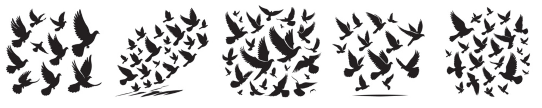 A collection of five distinct black silhouette designs depicting flocks of birds, possibly doves or pigeons, in various flight formations against a white background.