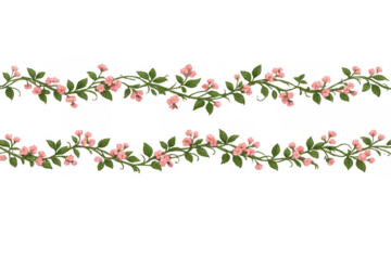 Delicate pink climbing flower garland creating border with fresh green foliage, transparent background for spring or wedding design