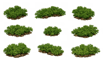 Green bushes collection presenting natural garden elements and diverse plant species for landscaping projects. Transparent background