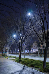 人のいない夜のストリート、都市の静けさを切り取る