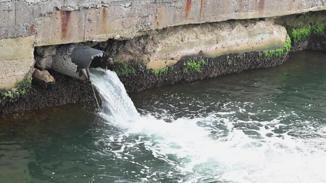 Real stormwater runoff flowing from a concrete urban drainage pipe into the sea. Natural environmental process captured as real footage, highlighting coastal infrastructure and water movement. Not AI 