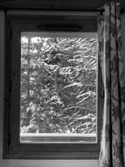 Snowy Forest Through Window Frame
