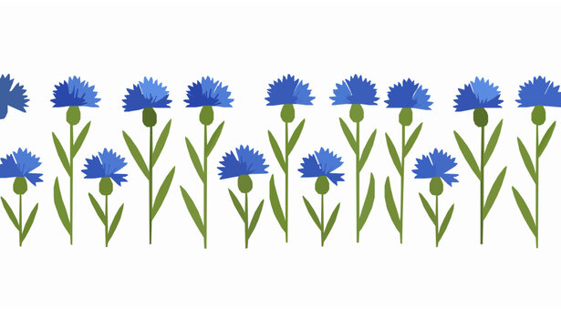 Horizontal seamless blue cornflowers vector pattern on white background