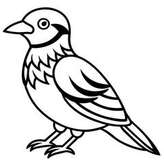 Fototapeta premium bird on white background