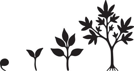 Obraz premium Growth stages of a plant from seed to tree