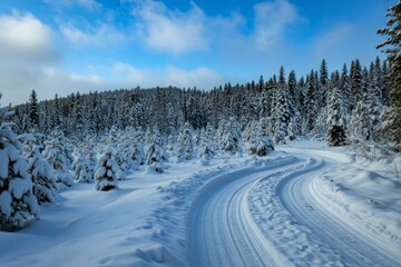 Snowy forest trail under clear sky