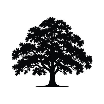 A striking silhouette of a lush fully grown oak tree in black