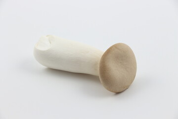 新鮮なエリンギを白背景でシンプルに撮影