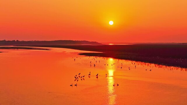 At sunset, flocks of migratory birds, swans, and geese take flight over Poyang Lake.