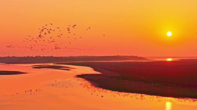 At sunset, flocks of migratory birds, swans, and geese take flight over Poyang Lake.