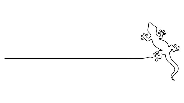 Abstract Lizard. Self drawing animation one continuous line draw, logo, Animated self drawing of world lizard day video design illustration. Animal world day themes design concept in simple linear